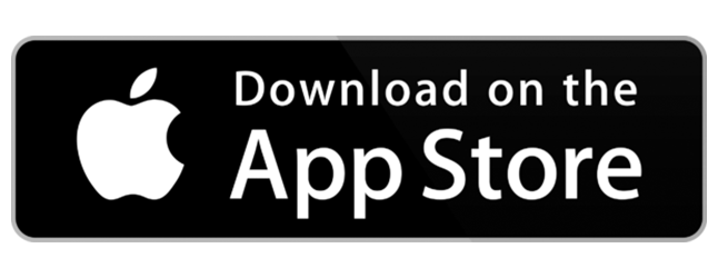 Google Play store icon